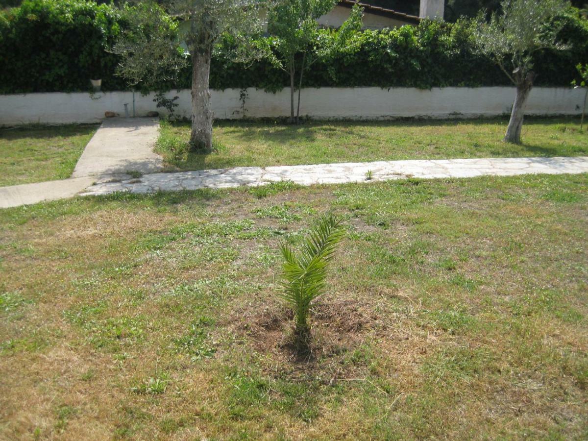 Dimitra House Villa Metamorfosi  Ngoại thất bức ảnh